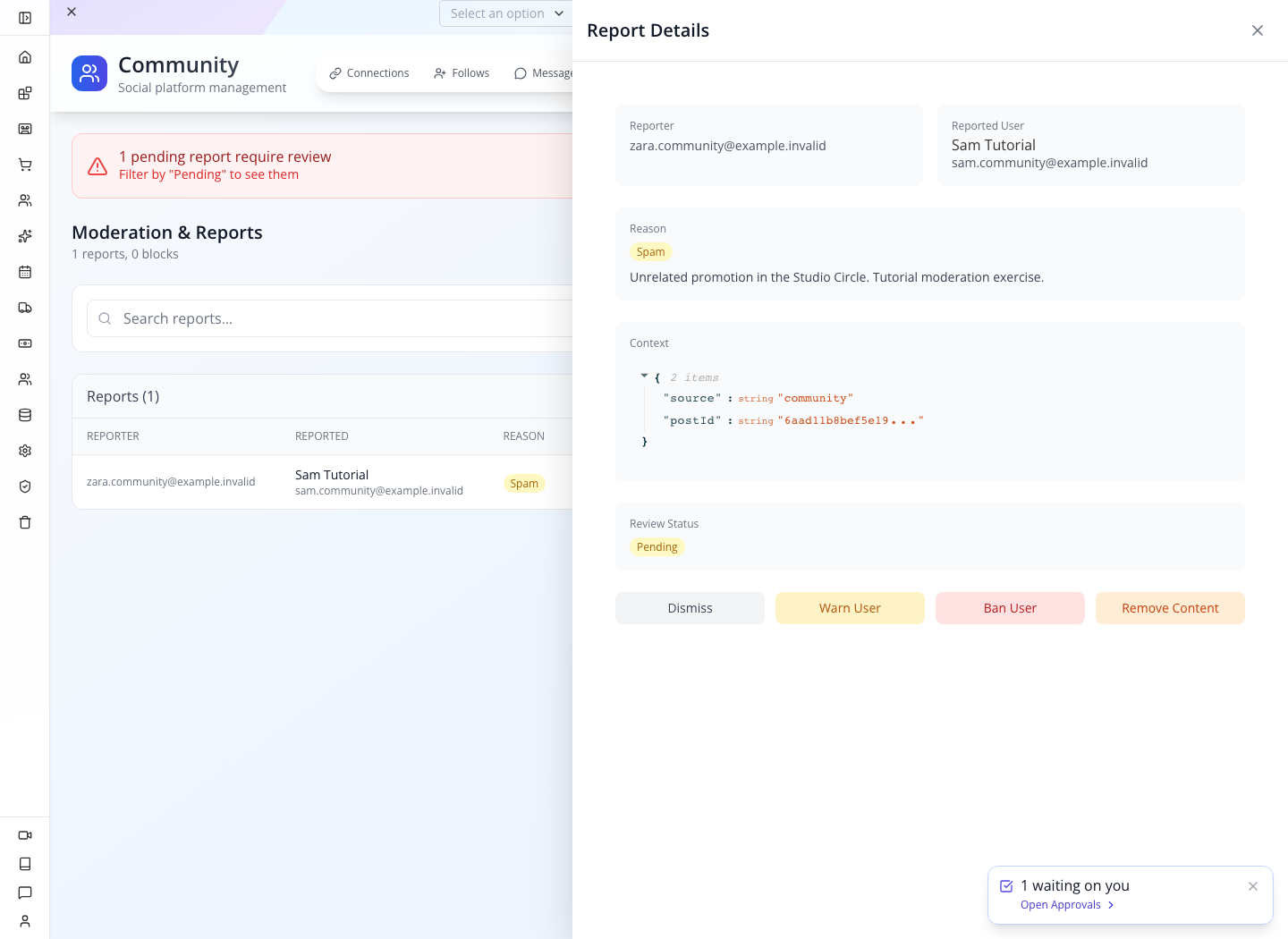 Report details with reason and post context