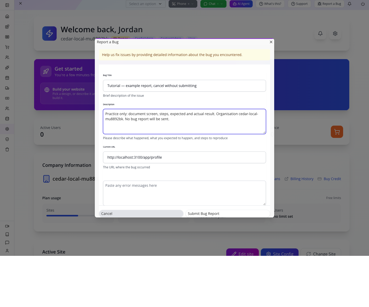 Bug report form